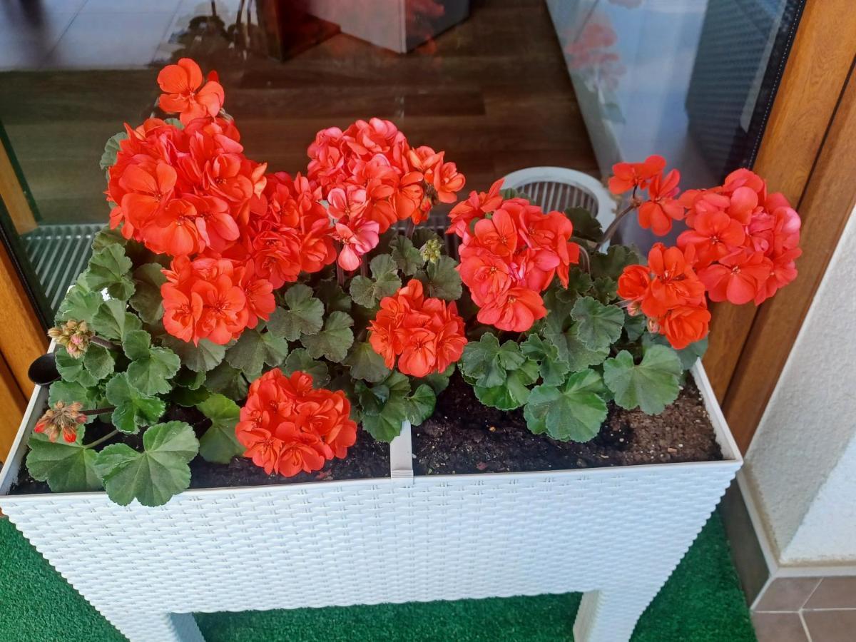 דז'יבנובק Apartament Z Widokiem Na Morze מראה חיצוני תמונה
