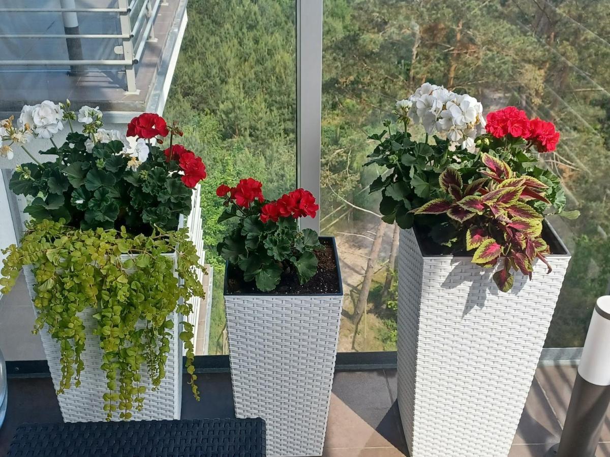 דז'יבנובק Apartament Z Widokiem Na Morze מראה חיצוני תמונה