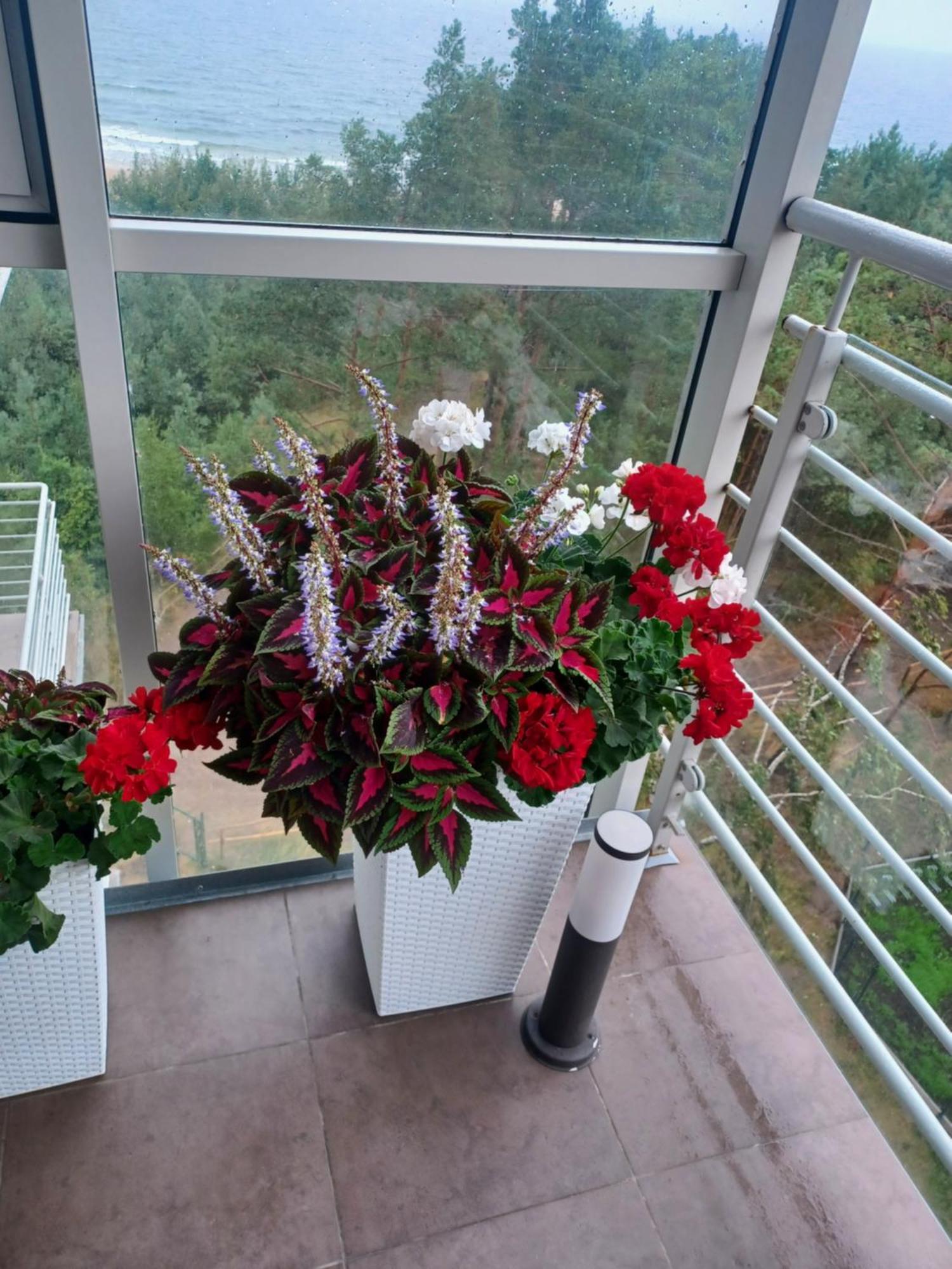 דז'יבנובק Apartament Z Widokiem Na Morze חדר תמונה
