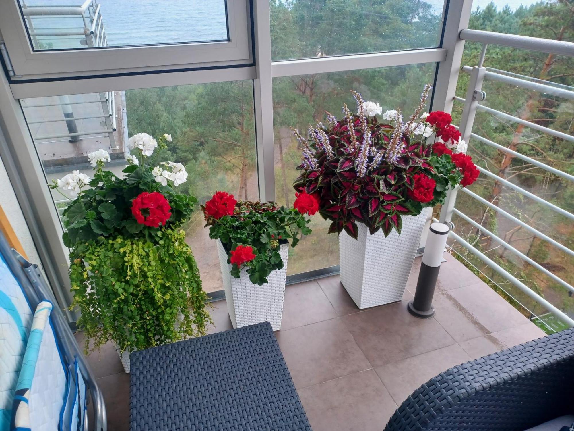 דז'יבנובק Apartament Z Widokiem Na Morze חדר תמונה